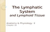 The Lymphatic System and Lymphoid Tissue Anatomy & Physiology II Chapter 16.