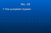 No. 18 The Lymphatic System The Lymphatic System.