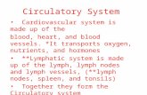 Circulatory System Cardiovascular system is made up of the blood, heart, and blood vessels. *It transports oxygen, nutrients, and hormones **Lymphatic.