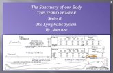 The Sanctuary of our Body THE THIRD TEMPLE Series 8 The Lymphatic System By : sister rose 1.