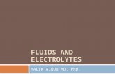 FLUIDS AND ELECTROLYTES MALIK ALQUB MD. PhD.. The Cell Has a Limited Repetoire K+140 meq/L 280 milliosmoles/L H 2 0 moves passively Across cell membrane.