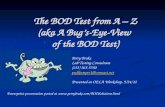 The BOD Test from A – Z (aka A Bug’s-Eye-View of the BOD Test) Perry Brake Lab Testing Consultant (253) 565-5350 pudljumper1@comcast.net Presented at OELA.