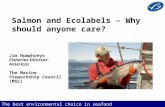 The best environmental choice in seafood Salmon and Ecolabels – Why should anyone care? Jim Humphreys Fisheries Director- Americas The Marine Stewardship.