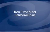 Non-Typhoidal Salmonellosis. Overview Organism History Epidemiology Transmission Disease in Humans Disease in Animals Prevention and Control.