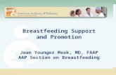Breastfeeding Support and Promotion Joan Younger Meek, MD, FAAP AAP Section on Breastfeeding.