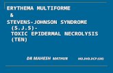 ERYTHEMA MULTIFORME & STEVENS-JOHNSON SYNDROME (S.J.S)- TOXIC EPIDERMAL NECROLYSIS (TEN) DR MAHESH MATHUR MD,DVD,DCP (UK) DR MAHESH MATHUR MD,DVD,DCP.