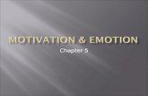 Chapter 5.  Textbook Definition  Thoene Definition  Motivation  Homeostasis  Self-improvement.