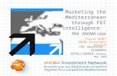 FDI Workshop: ECONOMIC INTELLIGENCE Athens, May 2009 Marketing the Mediterranean through FDI intelligence: the ANIMA case   Pierre HENRY ANIMA Investment.