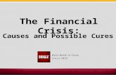 The Financial Crisis: Causes and Possible Cures. 2 2 Basic Background  Government policies primary cause of crisis – Mixed Economy  Liquidity issues.