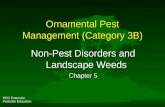 MSU Extension Pesticide Education Ornamental Pest Management (Category 3B) Non-Pest Disorders and Landscape Weeds Chapter 5.