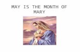 MAY IS THE MONTH OF MARY. Introduction We have chosen to do our assembly about May being the month of Mary During this month we try to go to her more.