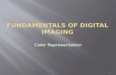 1 Color Representation. What is RGB color model and how does it represent colors? What is CMY color model and how does it represent colors? What is HSB.