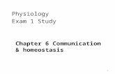 1 Physiology Exam 1 Study Chapter 6 Communication & homeostasis.