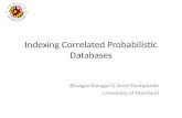 Indexing Correlated Probabilistic Databases Bhargav Kanagal & Amol Deshpande University of Maryland.
