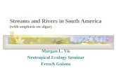 Streams and Rivers in South America (with emphasis on algae) Morgan L. Vis Neotropical Ecology Seminar French Guiana.