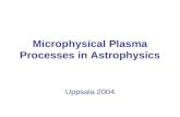 Microphysical Plasma Processes in Astrophysics Uppsala 2004.