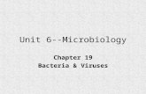 Unit 6--Microbiology Chapter 19 Bacteria & Viruses.