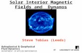 Solar Interior Magnetic Fields and Dynamos Steve Tobias (Leeds) 5th Potsdam Thinkshop, 2007.
