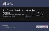 A close look at Apache Aries An Open Source project for Enterprise OSGi Rex Wang rwonly@apache.org.