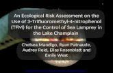 An Ecological Risk Assessment on the Use of 3-Trifluoromethyl-4-nitrophenol (TFM) for the Control of Sea Lamprey in the Lake Champlain Chelsea Mandigo,