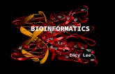 BIOINFORMATICS Ency Lee. What is Bioinformatics? Bioinformatics is a fast-field within the biological sciences that was developed because of the need.