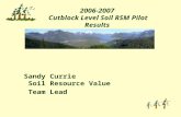 1 2006-2007 Cutblock Level Soil RSM Pilot Results Sandy Currie Soil Resource Value Team Lead.