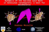 Dynamics of the nuclear spin bath in molecular nanomagnets: a test for decoherence Andrea Morello Kamerlingh Onnes Laboratory Leiden University UBC Physics.