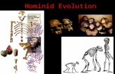 Hominid Evolution. Early Primates Prosimians (65mya) Monkeys (35mya) Apes (23mya) Hominids (5mya)