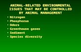 ANIMAL-RELATED ENVIRONMENTAL ISSUES THAT MAY BE CONTROLLED BY ANIMAL MANAGEMENT Nitrogen Phosphorus Odors Greenhouse gases Sediment Species diversity.
