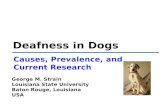Deafness in Dogs George M. Strain Louisiana State University Baton Rouge, Louisiana USA Causes, Prevalence, and Current Research.