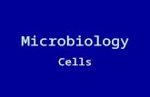 Microbiology Cells. 6/1/2015Microbiology: Cells2 Prokaryotes vs Eukaryotes Examples of Prokaryotes: –Bacteria –Cyanobacteria –Archaebacteria.