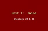 Unit 7: Swine Chapters 29 & 30. Unit 7: Swine Unit 7 Objectives: –Understanding of breed characteristics, traits, and measurements –Knowledge of performance.