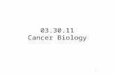 1 03.30.11 Cancer Biology. 2 Outline 1.How do cancer cells differ from normal cells? Tumor progression Molecular basis for cancer.