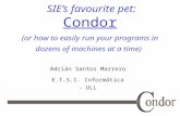 SIE’s favourite pet: Condor (or how to easily run your programs in dozens of machines at a time) Adrián Santos Marrero E.T.S.I. Informática - ULL.