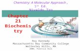 Chapter 21 Biochemistry 2008, Prentice Hall Chemistry: A Molecular Approach, 1 st Ed. Nivaldo Tro Roy Kennedy Massachusetts Bay Community College Wellesley.
