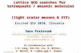 Sasa PrelovsekLattice 091 Lattice QCD searches for tetraquarks / mesonic molecules (light scalar mesons & XYZ) Excited QCD 2010, Slovakia Sasa Prelovsek.