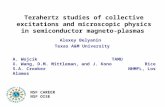 A. WojcikTAMU X. Wang, D.M. Mittleman, and J. KonoRice S.A. CrookerNHMFL, Los Alamos Alexey Belyanin Texas A&M University Terahertz studies of collective.