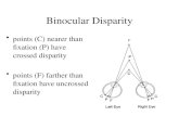 Binocular Disparity points (C) nearer than fixation (P) have crossed disparity points (F) farther than fixation have uncrossed disparity.