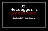 Dr. Heidegger's Experiment Nathaniel Hawthorne. n old friend Deeply allegorical writer. Hawthorne wrote about many Gothic themes.