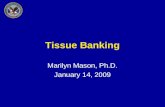 Tissue Banking Marilyn Mason, Ph.D. January 14, 2009.