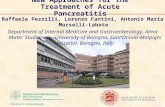 New Approaches for the Treatment of Acute Pancreatitis Raffaele Pezzilli, Lorenzo Fantini, Antonio Maria Morselli-Labate Department of Internal Medicine.