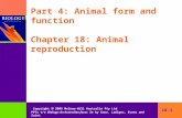 Copyright  2005 McGraw-Hill Australia Pty Ltd PPTs t/a Biology: An Australian focus 3e by Knox, Ladiges, Evans and Saint 18-1 Part 4: Animal form and.