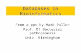 Databases in Bioinformatics From a ppt by Mark Pallen Prof. Of Bacterial pathogenesis Univ. Birmingham.