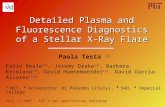 Detailed Plasma and Fluorescence Diagnostics of a Stellar X-Ray Flare Paola Testa (1) Fabio Reale (2), Jeremy Drake (3), Barbara Ercolano (3), David Huenemoerder.