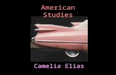 Camelia Elias American Studies. What is postmodernism?  a period in history?  a kind of writing?  an attitude to these things?  postmodernist theories.
