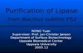 Purification of Lipase NONG Yuan Supervisor: Prof. Jan-Christer Janson Department of Surface Biotechnology Uppsala Biomedical Center Uppsala University.