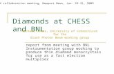 Diamonds at CHESS and BNL report from meeting with BNL Instrumentation group working to produce thin diamond monocrystals for use as a fast electron multiplier.