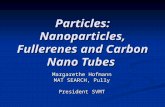 Particles: Nanoparticles, Fullerenes and Carbon Nano Tubes Margarethe Hofmann MAT SEARCH, Pully President SVMT.
