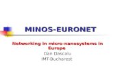 MINOS-EURONET Networking in micro-nanosystems in Europe Dan Dascalu IMT-Bucharest.