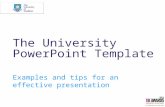 The University PowerPoint Template Examples and tips for an effective presentation.